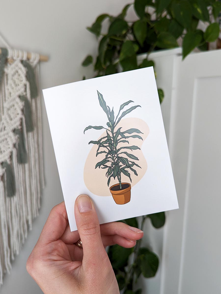Carte dracaena, Une Histoire De Noeud, Donnacona, illustrée au Québec extérieur|Carte de souhait, Une Histoire De Noeud, Donnacona, illustrée au Québec arrière