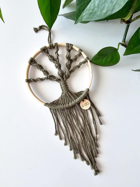 Arbre de vie, couleur olive